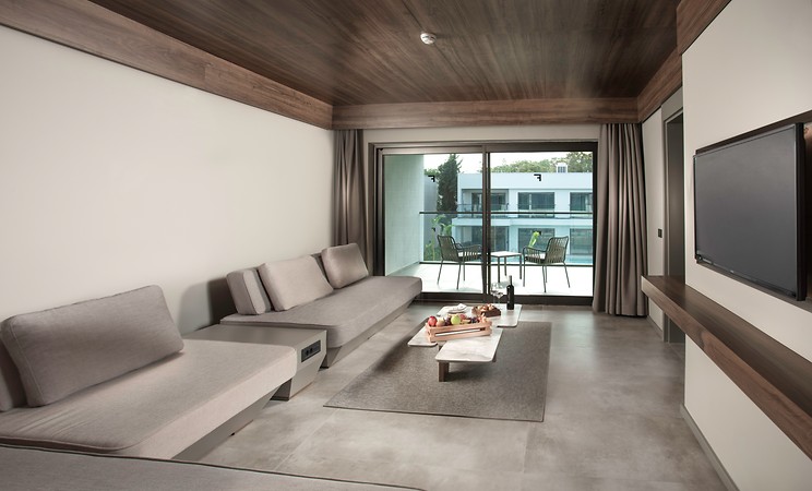 Large Family Suite
